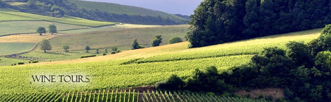 tuscany wine tour from Florence